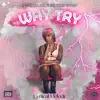 Lyriical Melodii - Why Try - Single